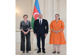 President Ilham Aliyev received credentials of incoming ambassador of the Netherlands