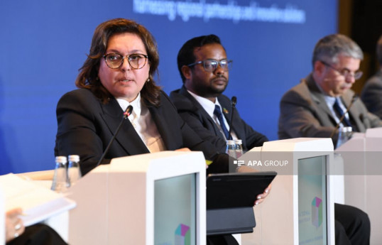 Deputy Minister of Ecology and Natural Resources Umayra Taghiyeva