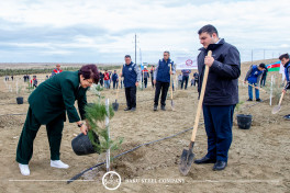 Baku Steel Company strengthens its contribution to environmental protection: about 3,000 trees planted -PHOTO 