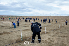Baku Steel Company strengthens its contribution to environmental protection: about 3,000 trees planted -PHOTO 