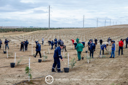 Baku Steel Company strengthens its contribution to environmental protection: about 3,000 trees planted -PHOTO 