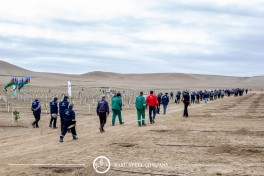 Baku Steel Company strengthens its contribution to environmental protection: about 3,000 trees planted -PHOTO 