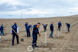 Baku Steel Company strengthens its contribution to environmental protection: about 3,000 trees planted -PHOTO 