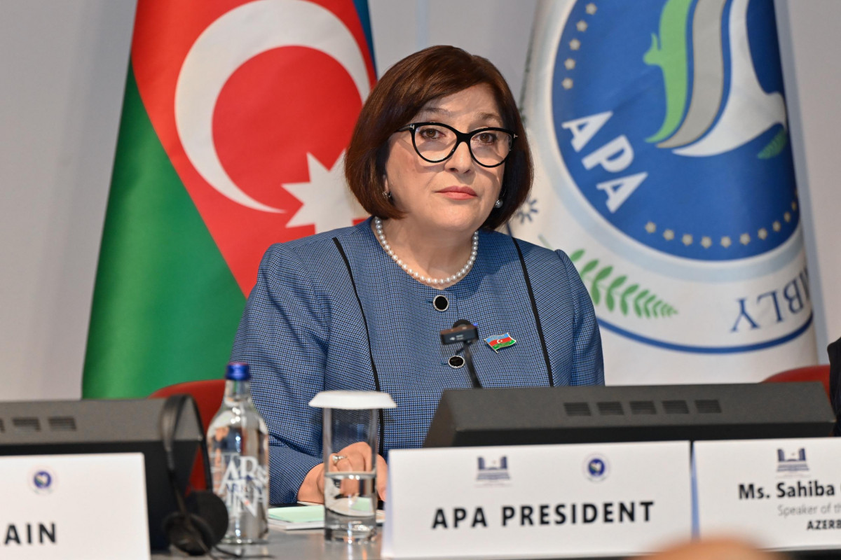 Speaker of Azerbaijani Parliament chairs Co–ordination Meeting of Asian Parliamentary Assembly in Geneva