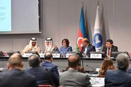 Speaker of Azerbaijani Parliament chairs Co–ordination Meeting of Asian Parliamentary Assembly in Geneva