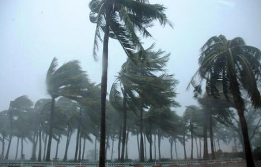 China issues blue alert for typhoon Fengshen