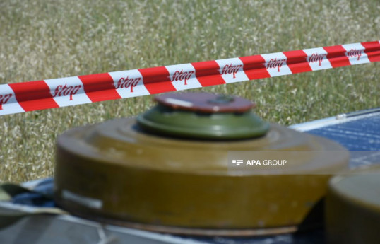 Azerbaijan's ANAMA discovers 130 more landmines, 2000 UXOs in liberated territories