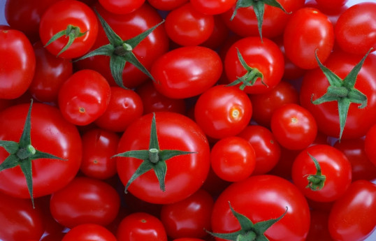 Azerbaijan’s tomato exports to Russia plummet, virtually halt in August-September
