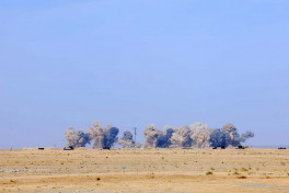 Distinguished Visitors Day of “Unity-2025” joint exercise is held-VIDEO -PHOTO 