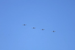 Distinguished Visitors Day of “Unity-2025” joint exercise is held-VIDEO -PHOTO 