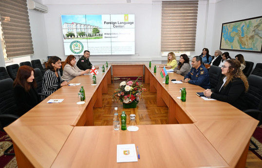 Baku hosts working meeting between Azerbaijani and Georgian delegations