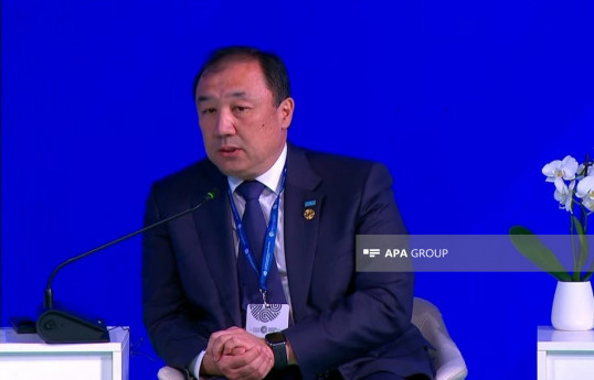 Kazakh Transport Minister Nurlan Sauranbayev