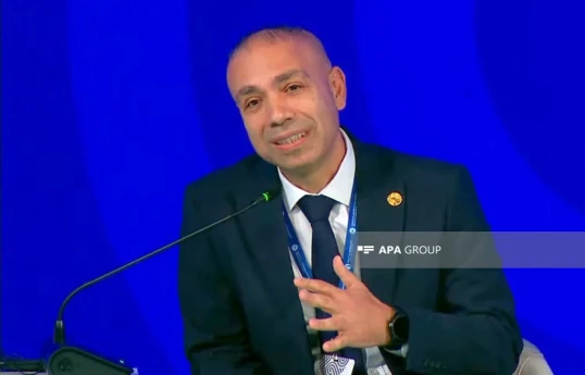 Deputy Minister of Energy Elnur Soltanov