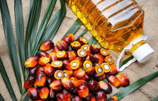 Azerbaijan imported about 27,000 tons of palm oil this year
