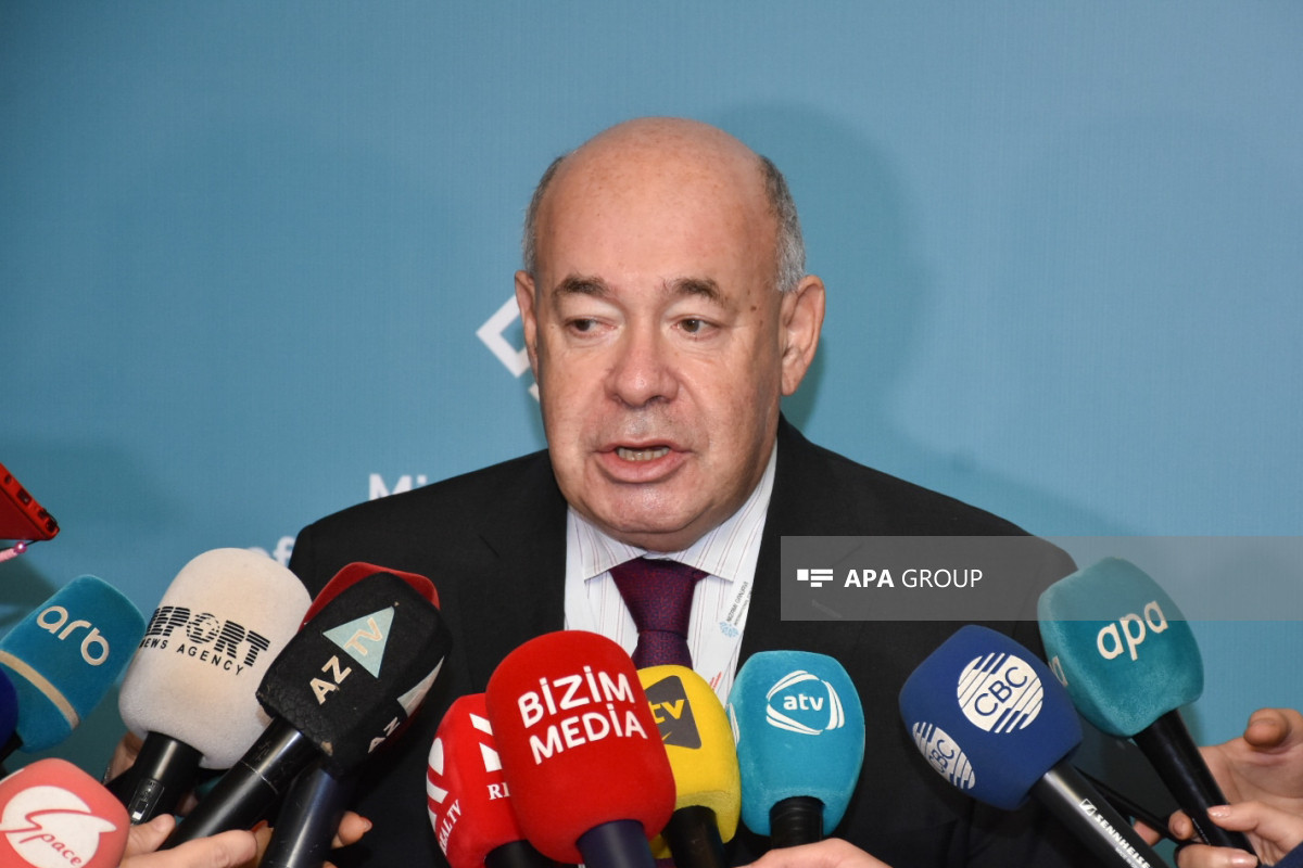 Mikhail Shvydkoy, Special Representative of the President of the Russian Federation for International Cultural Cooperation