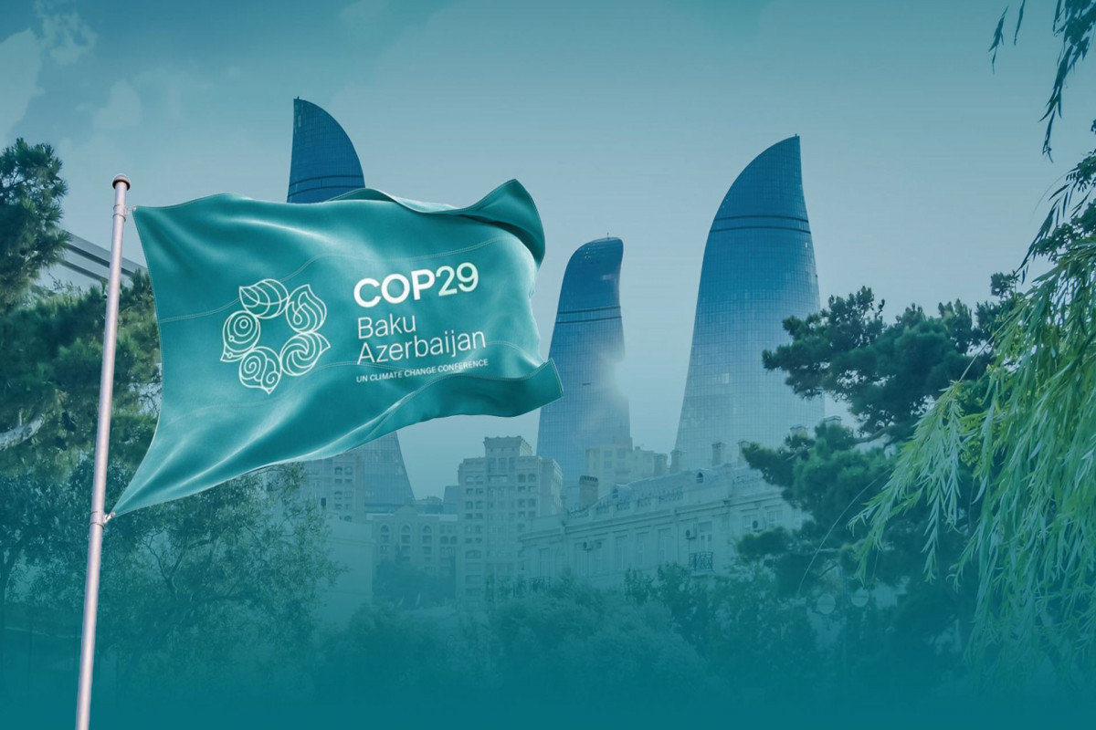 Audit confirms transparent and efficient financial management in organization of COP29 Azerbaijan