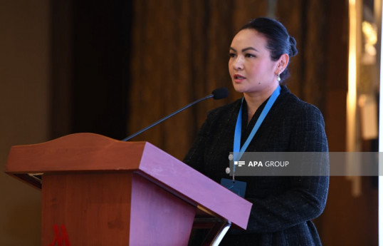 Meruert Bayetova, Head of the Insurance Organizations Inspection Department of the Agency for Regulation and Development of the Financial Market of Kazakhstan