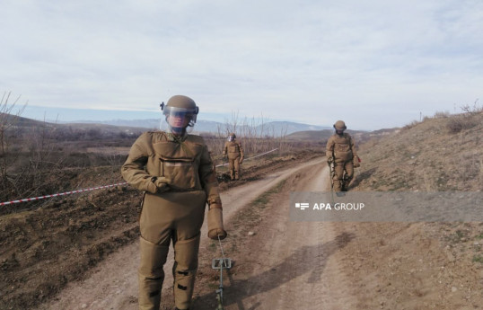 Azerbaijan approves procedure for assessing mine clearance activities