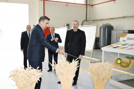 President Ilham Aliyev visited seed processing facility in Sabirabad Industrial District