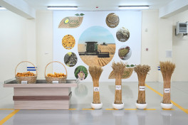 President Ilham Aliyev visited seed processing facility in Sabirabad Industrial District