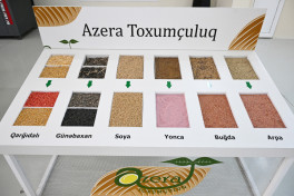 President Ilham Aliyev visited seed processing facility in Sabirabad Industrial District