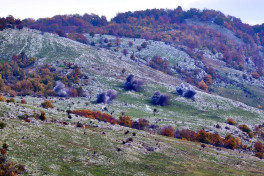Joint tactical exercise is held with Azerbaijani and Serbian artillerymen-VIDEO 