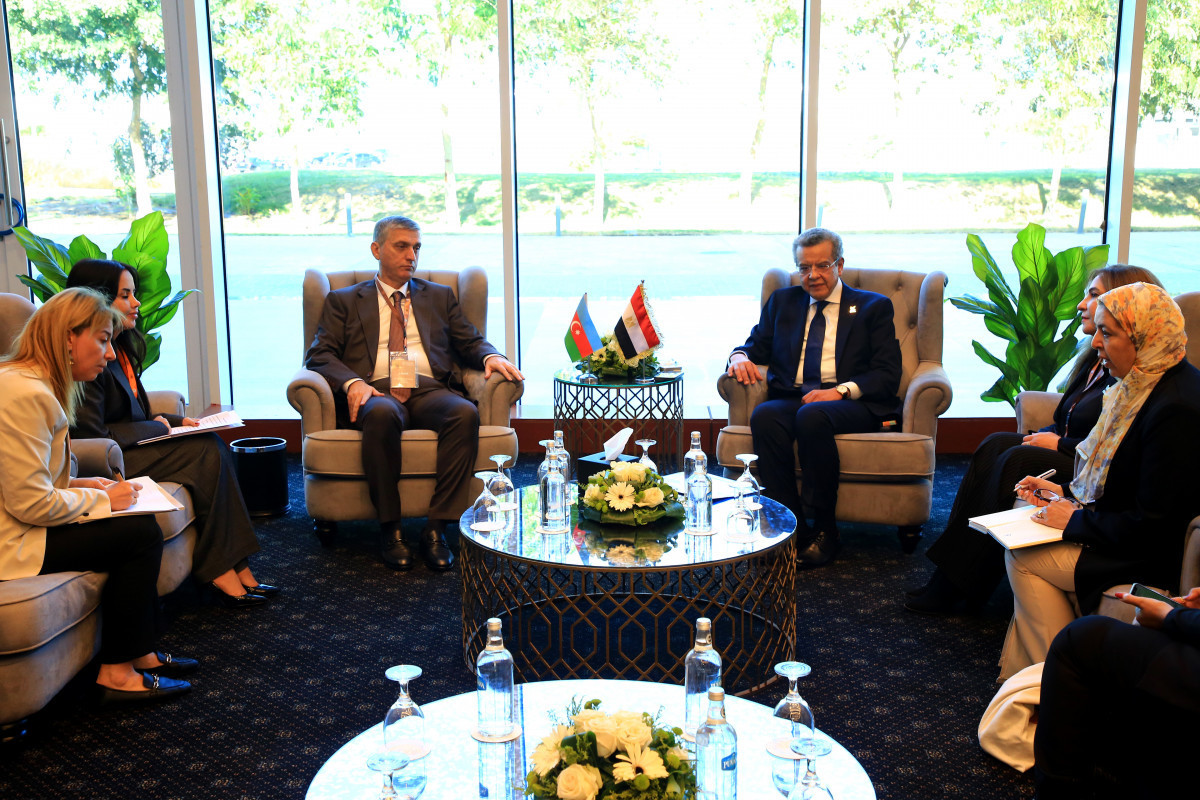 Azerbaijan and Egypt discussed the application of AI in state audit