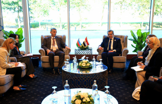 Azerbaijan and Egypt discussed the application of AI in state audit