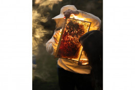 Leyla Aliyeva visits participant of "Young Beekeeper" project in Gabala district