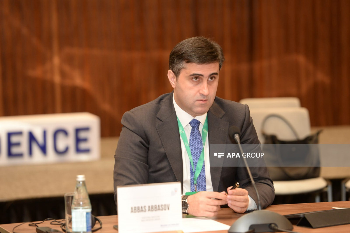 Abbas Abbasov, Executive Director of the Baku Initiative Group