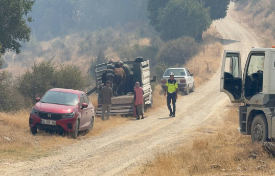 Fire spreads from Karabük to Kastamonu in Türkiye, village evacuated