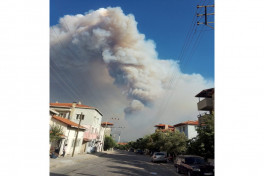 Forest fires continue in Türkiye's Denizli