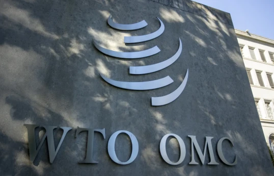 WTO chief urges stronger foundations for global trade