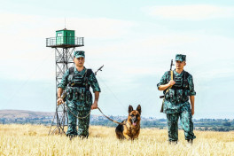 17 foreigners detained for attempting to cross Azerbaijan’s border last month