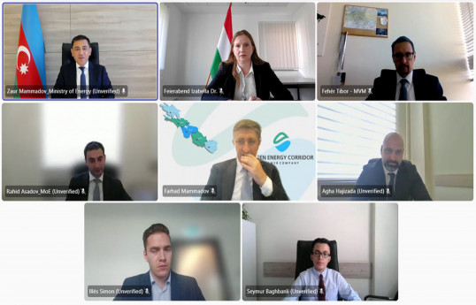 Azerbaijan and Hungary discussed oil-gas and energy issues