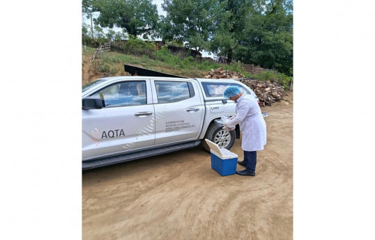 AFSA: Homemade food caused mass poisoning in Astara