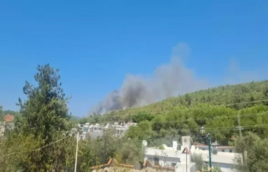 Forest fire has broken out in Bodrum