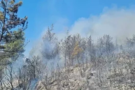 Forest fire has broken out in Bodrum