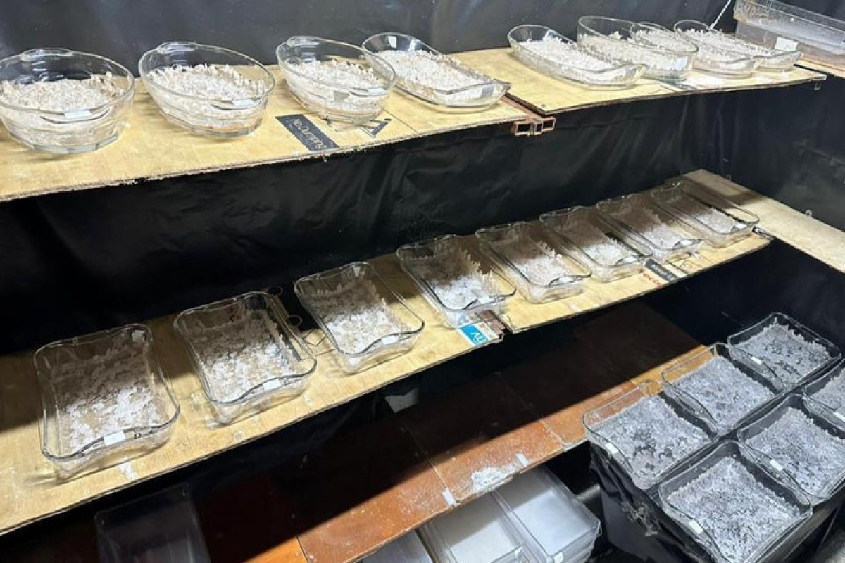Kazakhstan dismantles 9 drug labs in nationwide operation