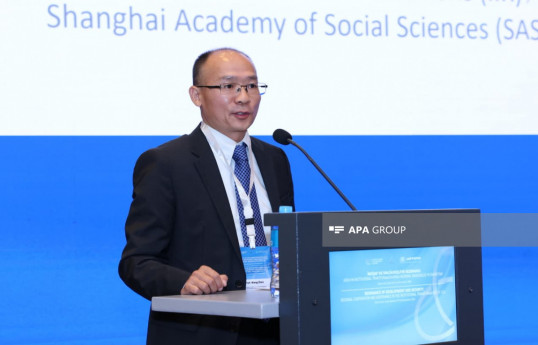 Wang Zhen, Deputy Director of the Shanghai Academy of Social Sciences