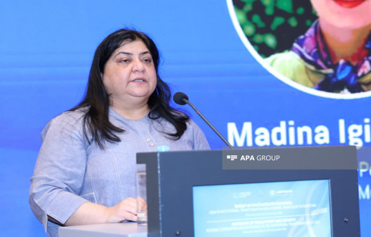 Nutan Kapoor Mahawar, Acting Director General of the Indian Council of World Affairs