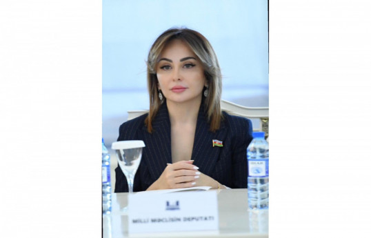MP Nigar Mammadova