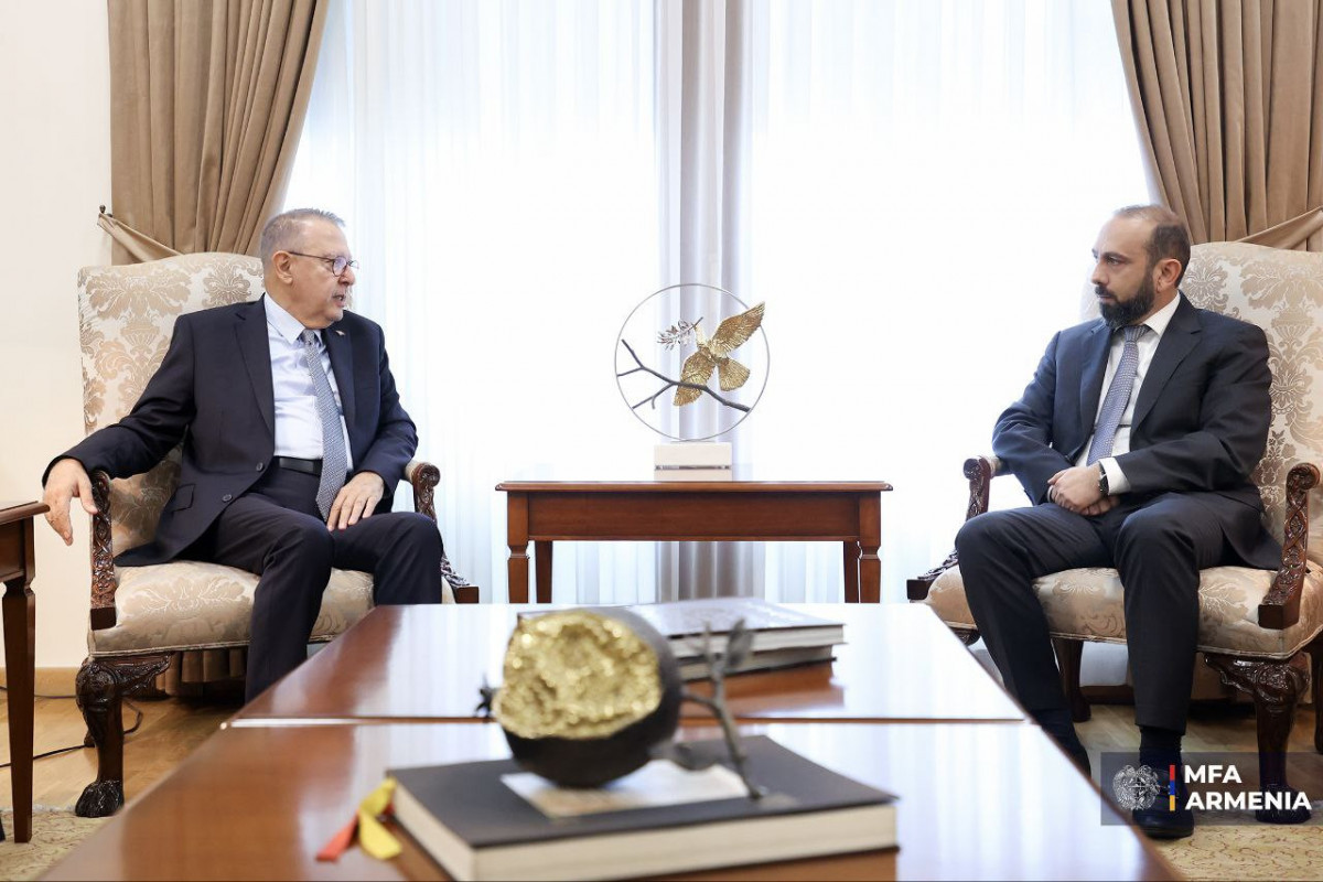 Armenian FM received Türkiye