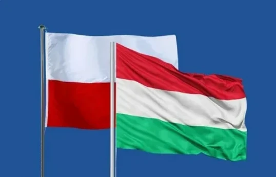 Polish foreign minister urges Hungary to lift veto on Ukraine's EU accession talks