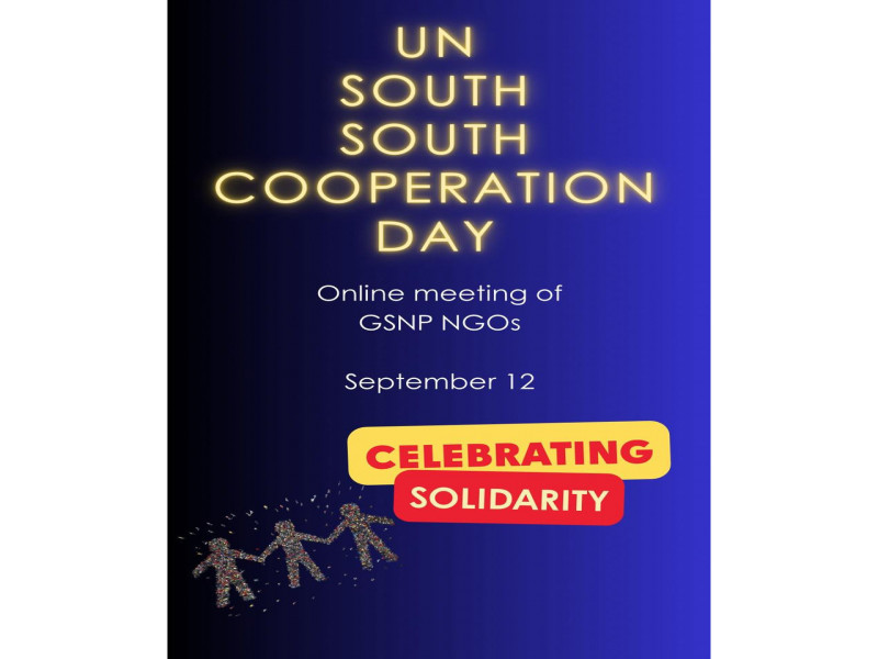 Global South NGO Platform members held an online meeting