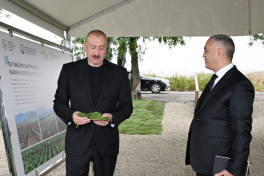 President Ilham Aliyev inspected work at mulberry orchard in Dashbulag village of Khojaly