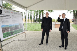 President Ilham Aliyev inspected work at mulberry orchard in Dashbulag village of Khojaly