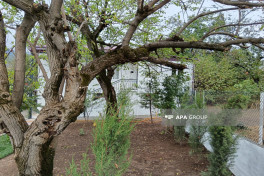 Azerbaijan to restore all partially usable houses in Hadrut by end of year -PHOTO 