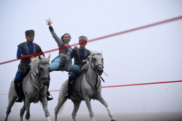 Presidents Ilham Aliyev and Sheikh Mohamed bin Zayed Al Nahyan watched Karabakh horses show at Jidir Duzu