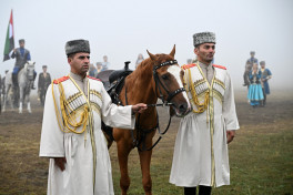 Presidents Ilham Aliyev and Sheikh Mohamed bin Zayed Al Nahyan watched Karabakh horses show at Jidir Duzu